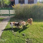 Of Nature - Kuca Prirode Tatil Evi Odžak
