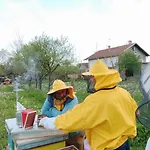 Tatil Evi Of Nature - Kuca Prirode Odžak