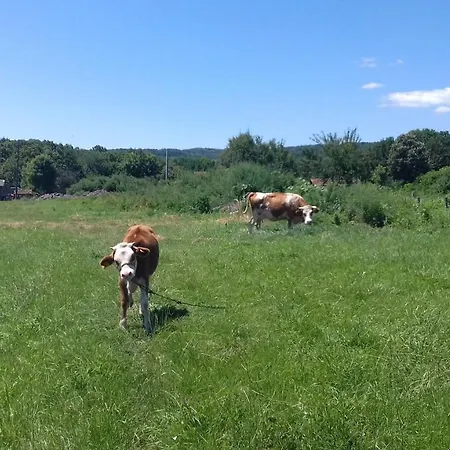 Of Nature - Kuca Prirode *