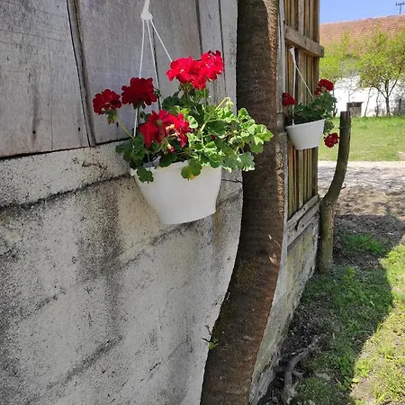 Сasa de vacaciones Of Nature - Kuca Prirode Odžak