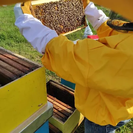 Сasa de vacaciones Of Nature - Kuca Prirode Odžak