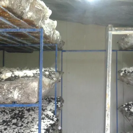 Of Nature - Kuca Prirode Feriehus