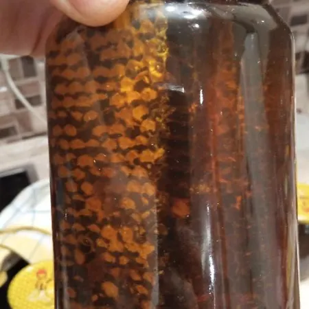 Сasa de vacaciones Of Nature - Kuca Prirode