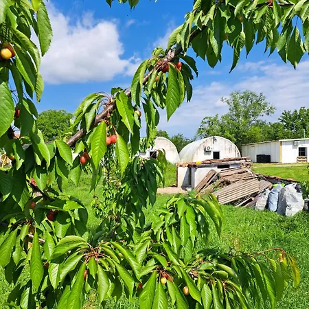 Of Nature - Kuca Prirode Feriehus *