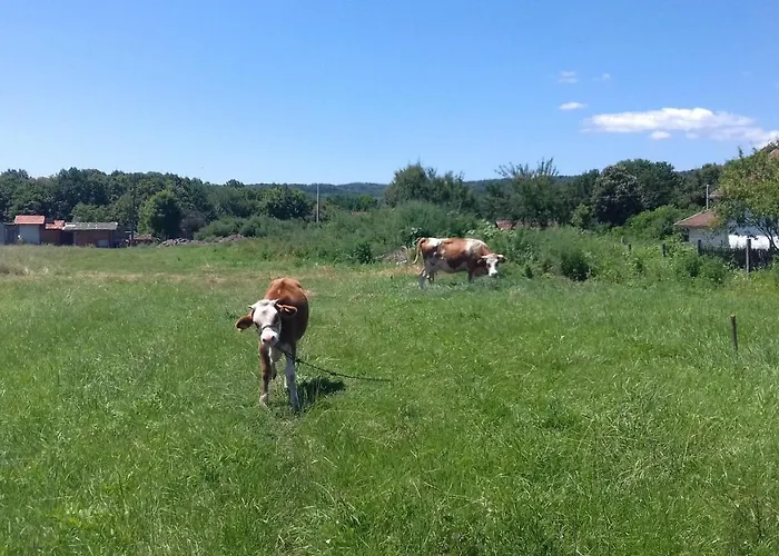 Of Nature - Kuca Prirode *