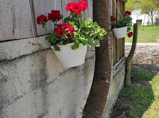 Holiday home Of Nature - Kuca Prirode Odzak