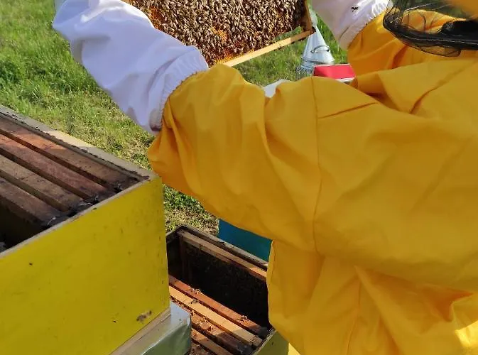 Holiday home Of Nature - Kuca Prirode Odzak