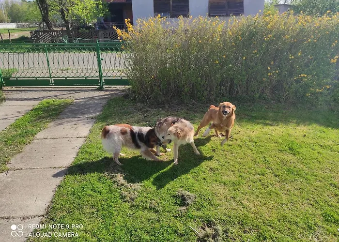 Of Nature - Kuca Prirode Holiday home Odzak