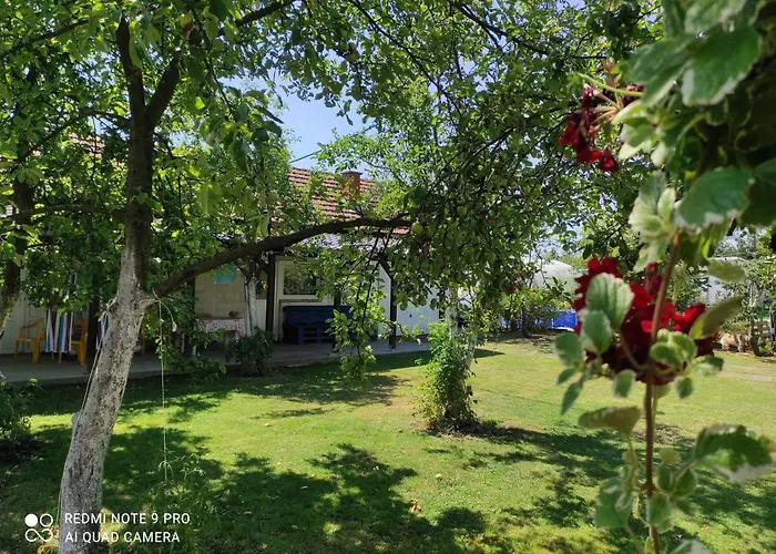 Of Nature - Kuca Prirode Odzak