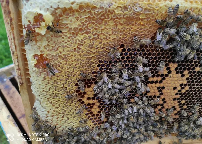 Of Nature - Kuca Prirode * Odzak