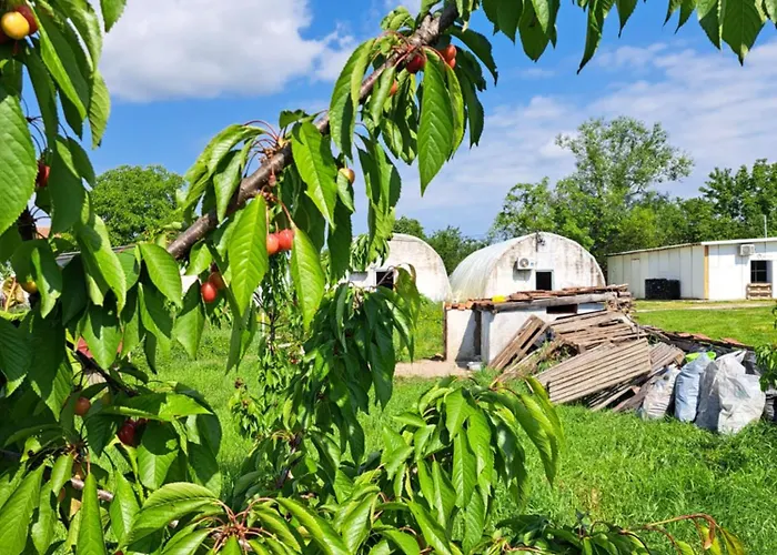 Of Nature - Kuca Prirode Holiday home *